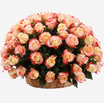 Корзина из 51 розы Кабаре