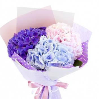 Букет из гортензий "Ловелас"